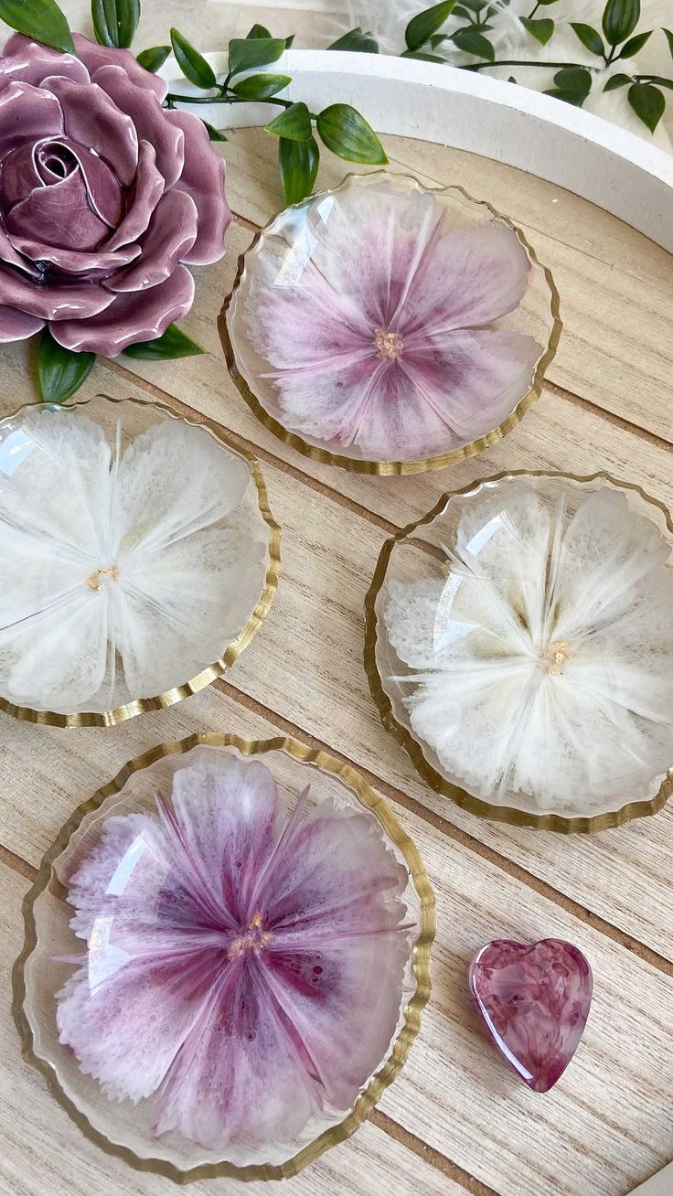 Aurora Coasters